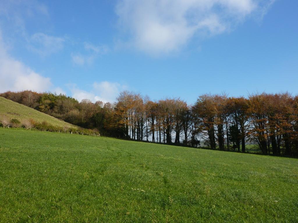 Higher Melcombe Manor Ansty  Екстериор снимка